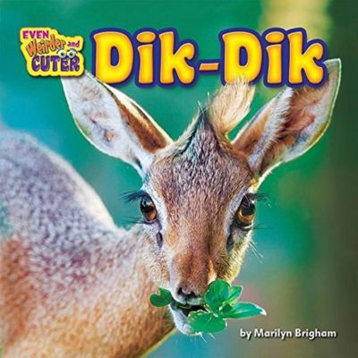 DikDik Free Download 
