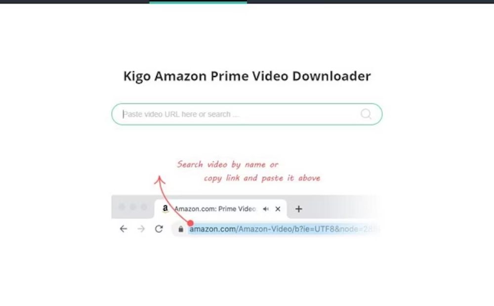 _Kigo Amazon Prime Video Downloader Repack